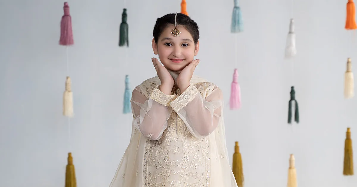 3 Piece Embroidered Organza Suit | MKS-EA24-25