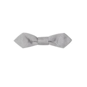 Gray Silk Ties & Bowty