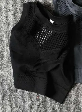 Women Vital Ombre Seamless Sleeveless Cropped Top