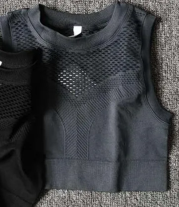 Women Vital Ombre Seamless Sleeveless Cropped Top